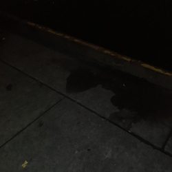 もう少し早ければ