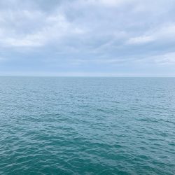 ショアジギング