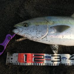 連敗脱出が大金星