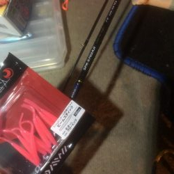 極寒のアジング