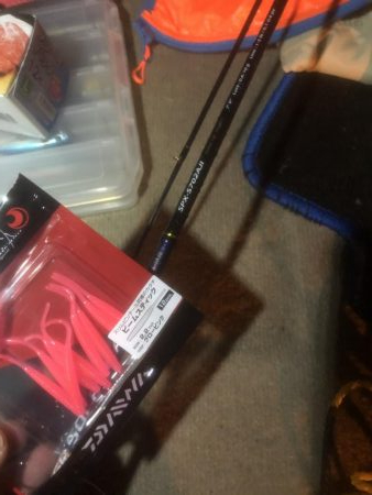 極寒のアジング