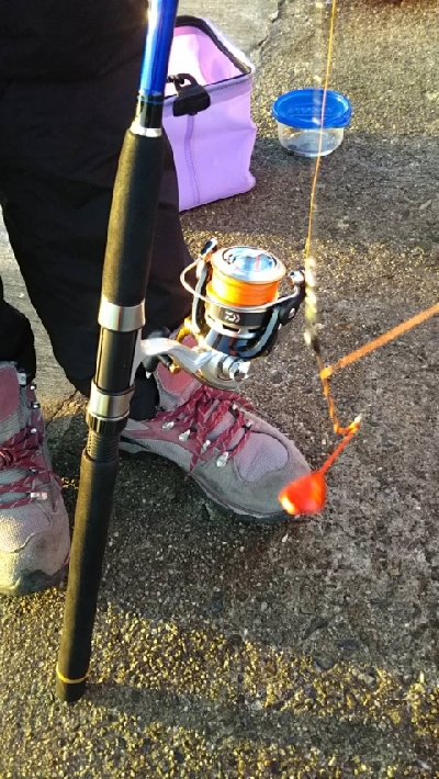 初めてのカワハギ！