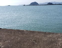 シラスパターン?