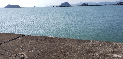 シラスパターン?