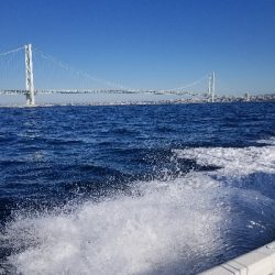 明石ジギング、タイラバ