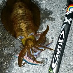 朝マズメ前に1杯