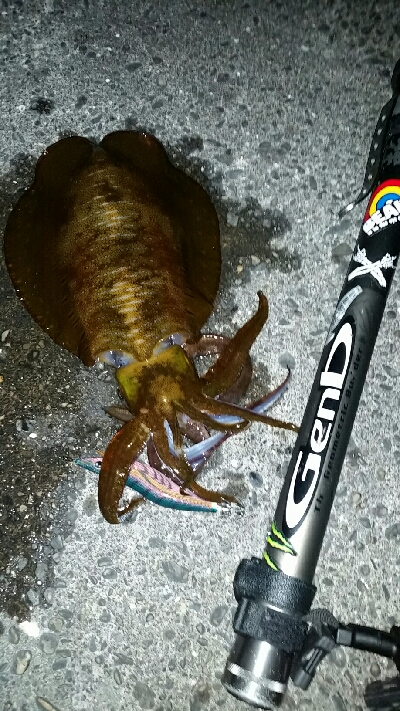 朝マズメ前に1杯