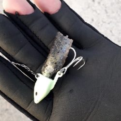 朝マヅメで太刀魚狙い！