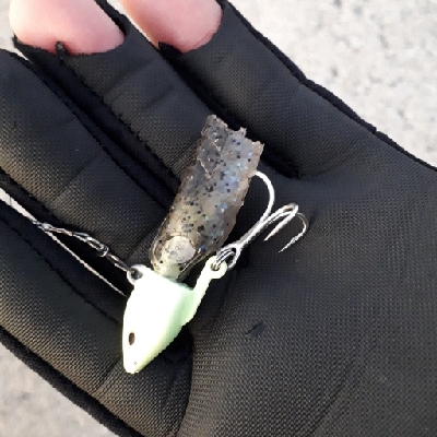 朝マヅメで太刀魚狙い！