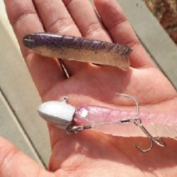 和歌山青岸タチウオ釣行