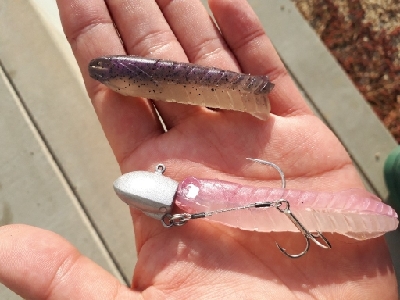 和歌山青岸タチウオ釣行