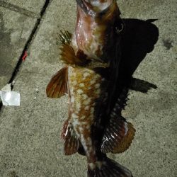 昨日のリベンジ(^-^)