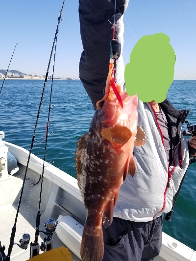 明石、タイラバ、ジギング