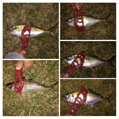 アジンガー1840〜2025