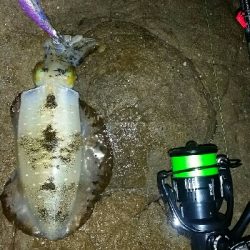 どこも釣人だらけ