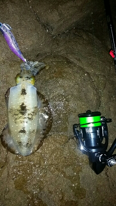 どこも釣人だらけ