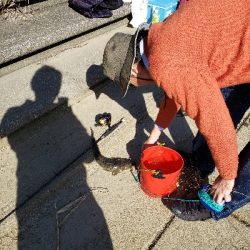 ハゼ狙いが(笑)