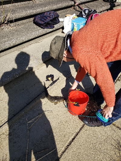 ハゼ狙いが(笑)