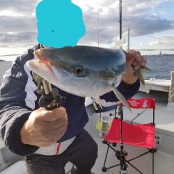 明石、タイラバ、ジギング