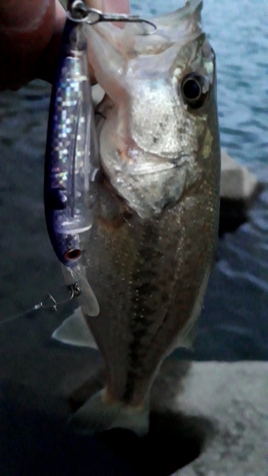 スーパースレッジで！！