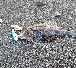 香南市サーフ ショアジギ