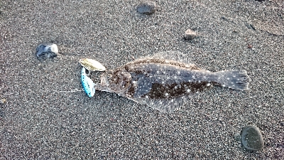 香南市サーフ ショアジギ