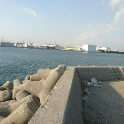 本日2回目昼から釣行。