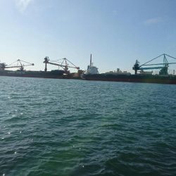 サヨリ！フィーバー