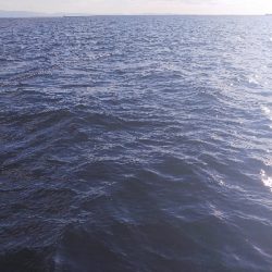 渋かったけど・・・