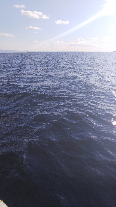 渋かったけど・・・