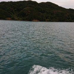 ボートエギング