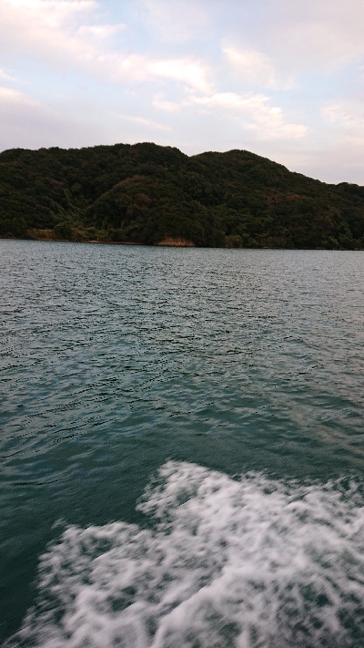 ボートエギング