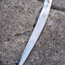 エエ感じの1時間