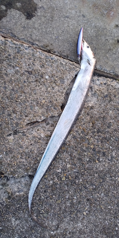 エエ感じの1時間