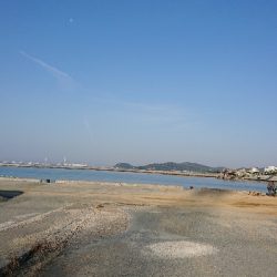 ハマチはどこいった？