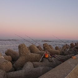 投げ釣り カレイ釣り