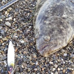 三重サーフで青物・ヒラメ