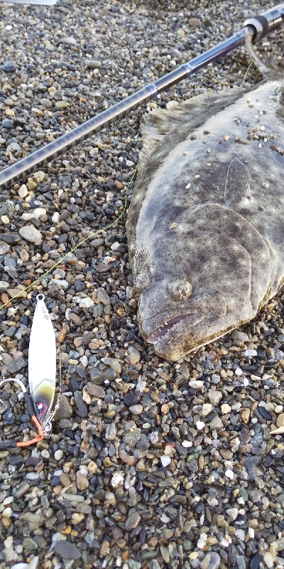 三重サーフで青物・ヒラメ