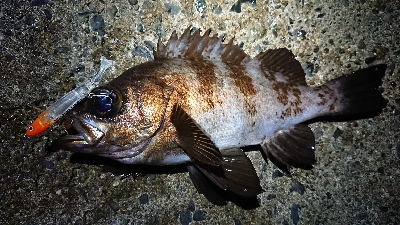 仕事終わりメバリング