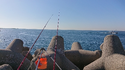 リベンジ、カレイ釣り