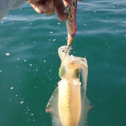 秋イカボートエキング