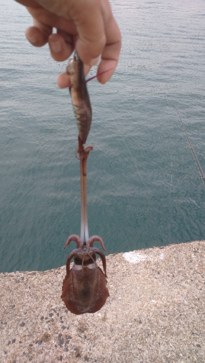 午後からエキング