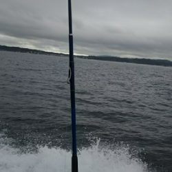 まあまあのサイズ