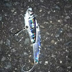 もう終盤かも？