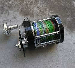 久しぶりに釣れた