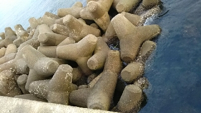 ガシラ狙いのはずが