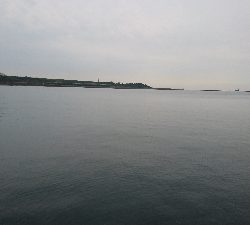 ローライトのした