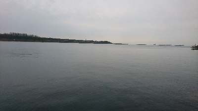 ローライトのした