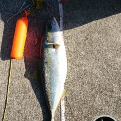 まだまだ釣れます