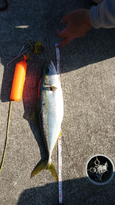 まだまだ釣れます